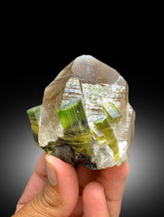 Natural Bicolor Tourmaline Crystals on Smoky Quartz from Paprok Afghanistan - 189 gram