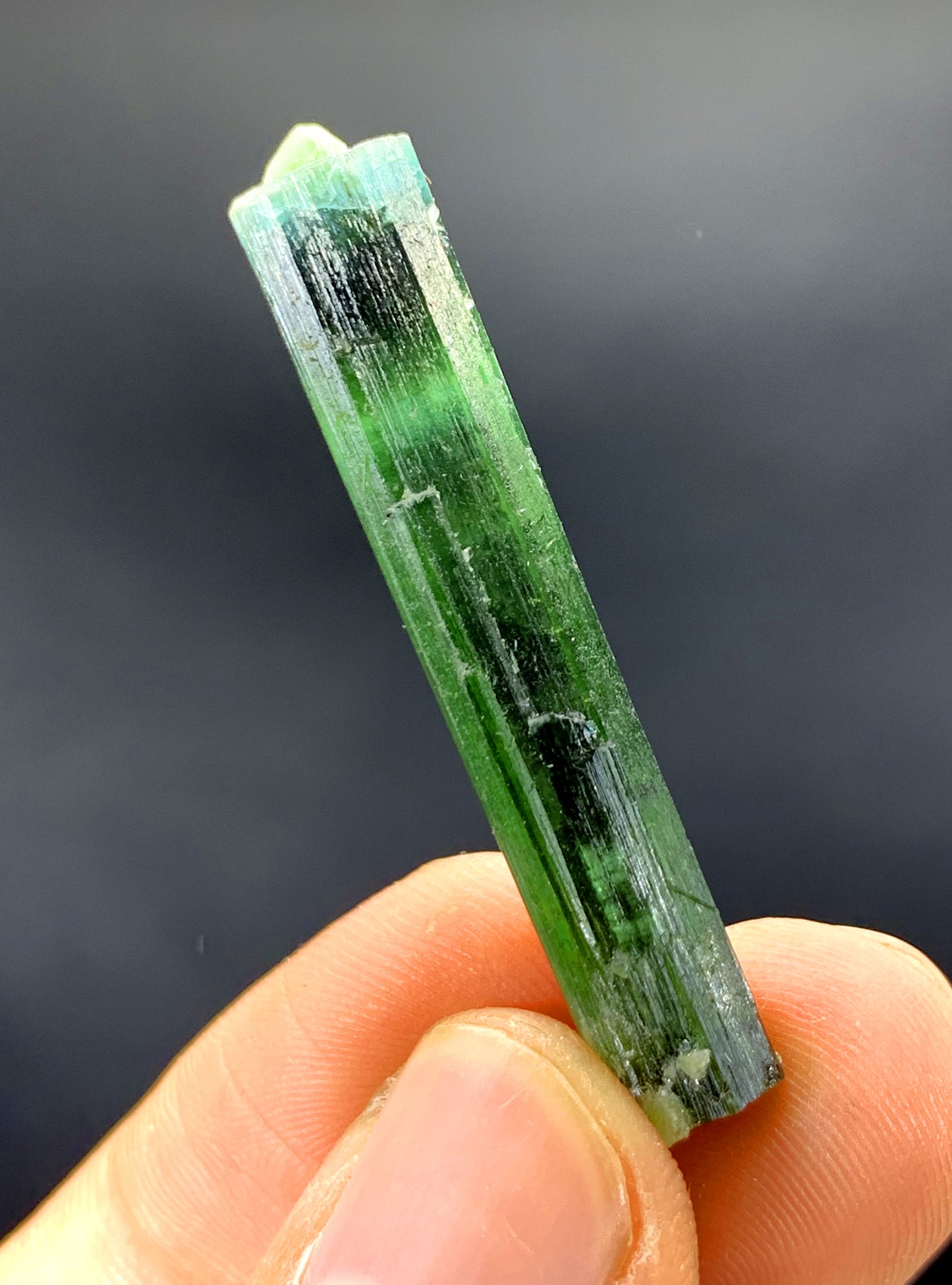 Natural Bicolor Tourmaline Crystal, Lipstick Tourmaline, Tourmaline Crystal from Afghanistan - 24.20 carat