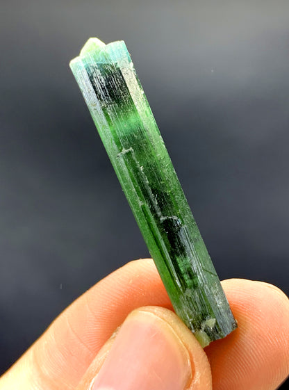 Natural Bicolor Tourmaline Crystal, Lipstick Tourmaline, Tourmaline Crystal from Afghanistan - 24.20 carat