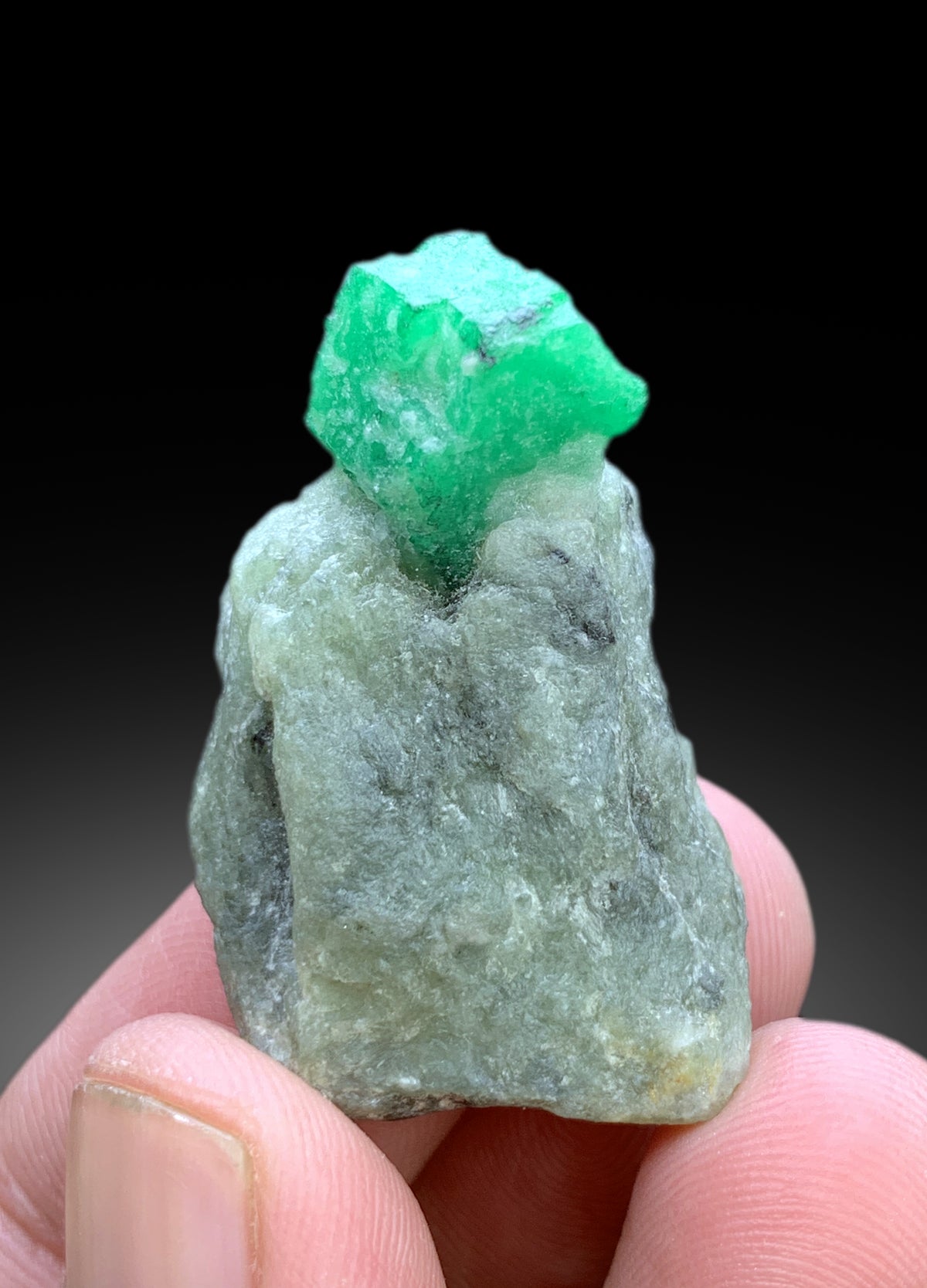 Lush Green Color Emerald on Matrix from Swat Pakistan - 19 gram