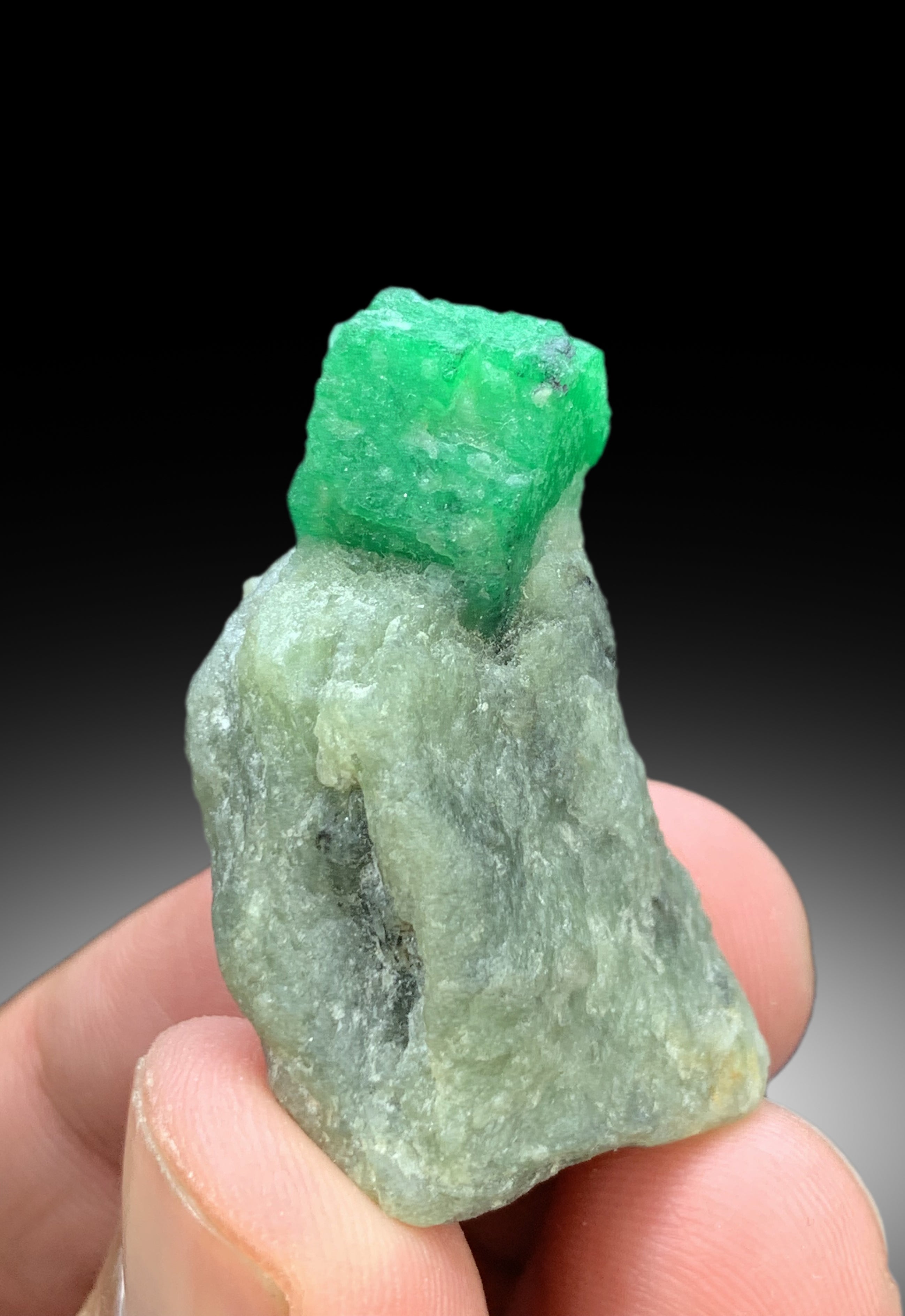 Lush Green Color Emerald on Matrix from Swat Pakistan - 19 gram