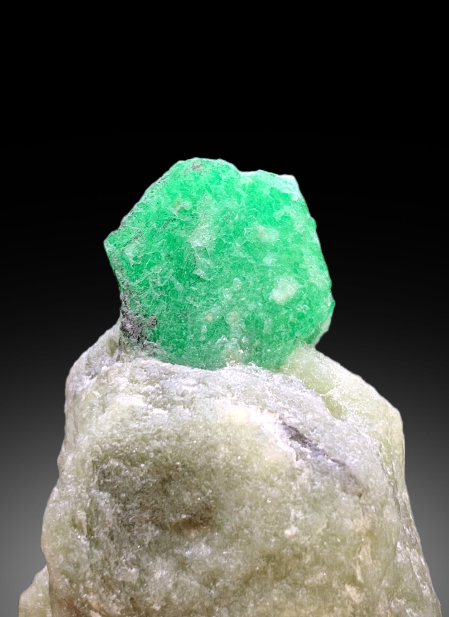 Lush Green Color Emerald on Matrix from Swat Pakistan - 19 gram