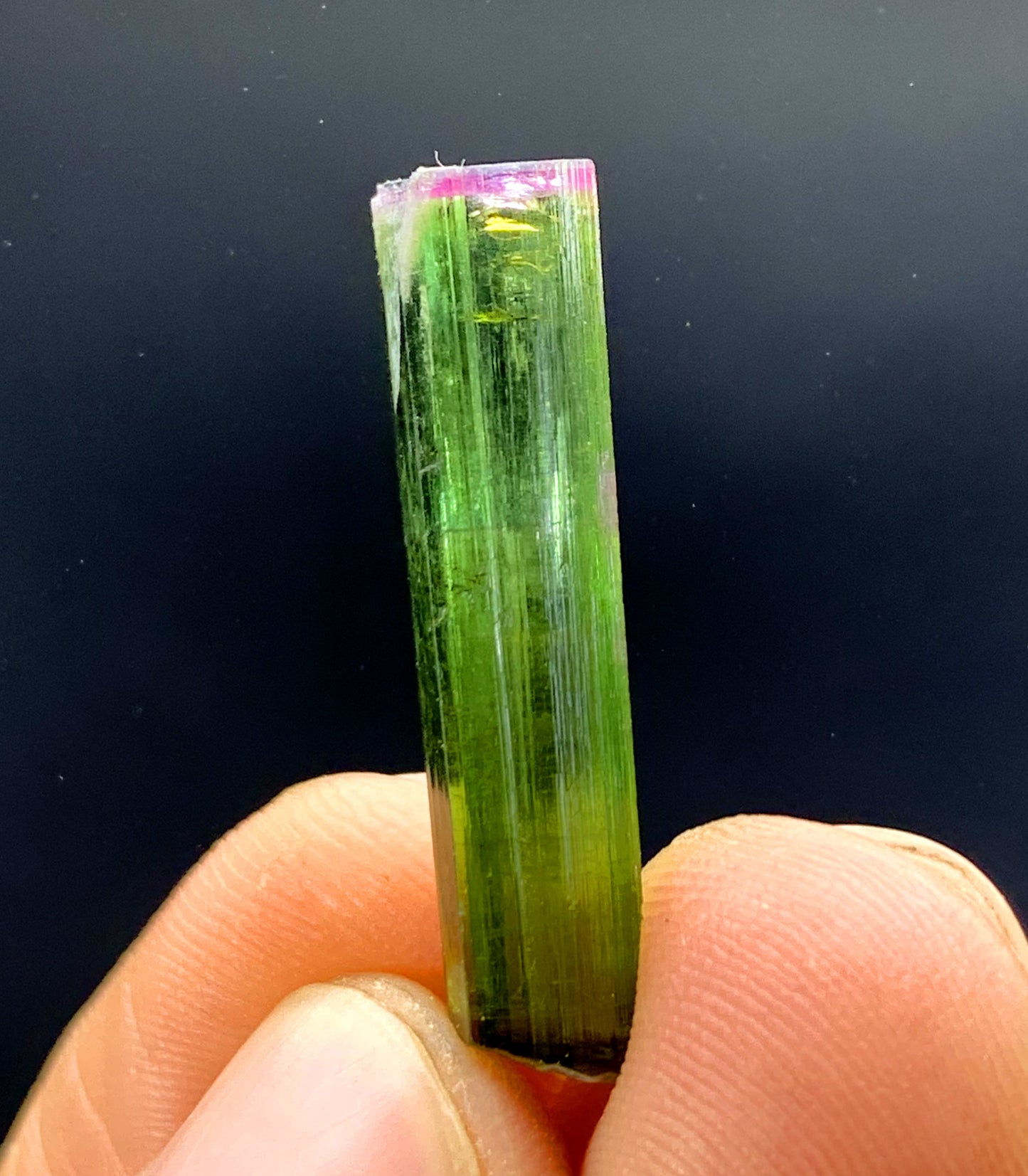Natural Bicolor Tourmaline Crystal from Paprok Afghanistan - 11.35 carat