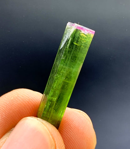 Natural Bicolor Tourmaline Crystal from Paprok Afghanistan - 11.35 carat