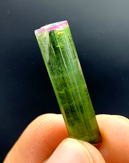 Natural Bicolor Tourmaline Crystal from Paprok Afghanistan - 11.35 carat