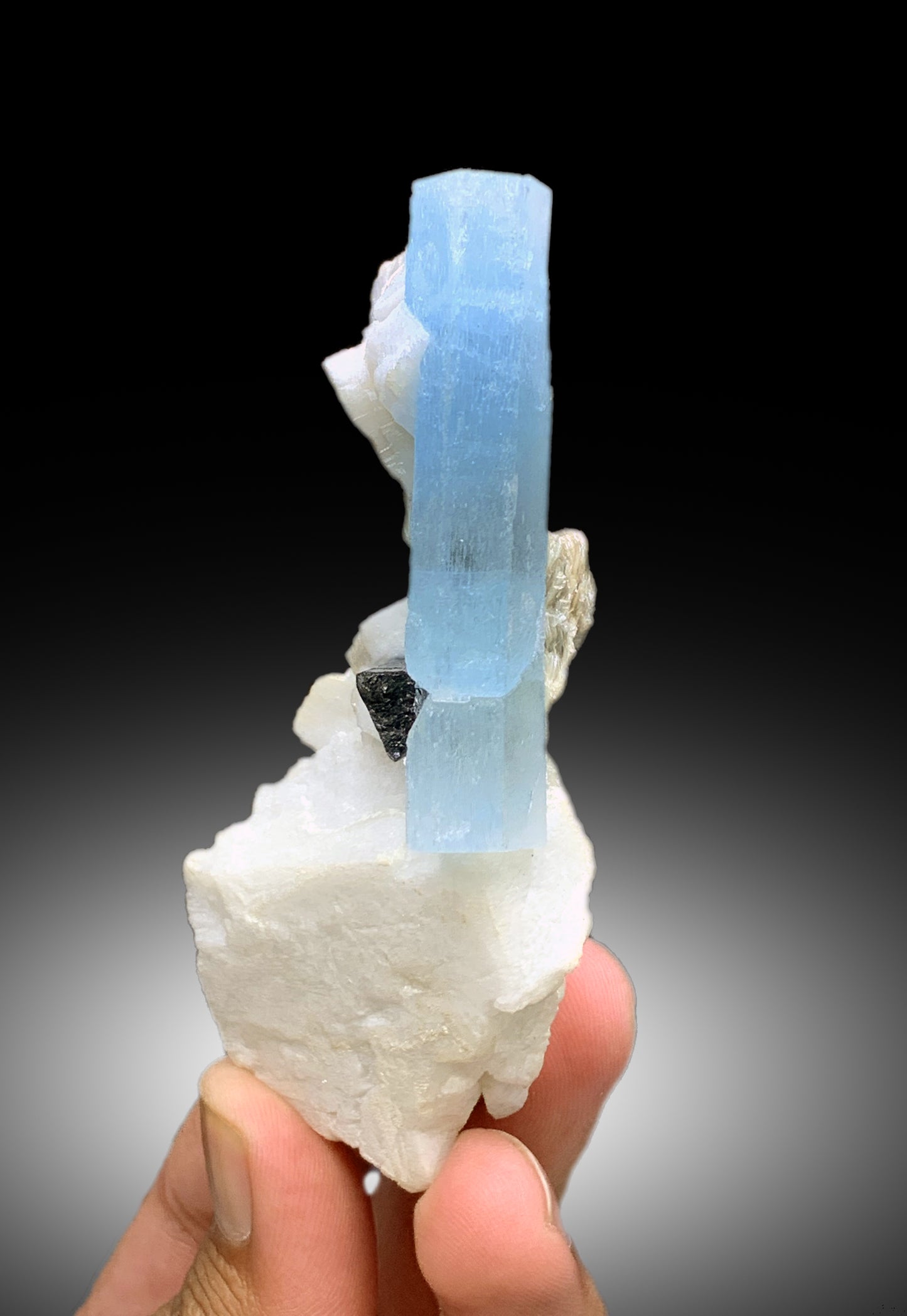 Natural Sky Blue Color Aquamarine with Schorl Black Tourmaline and Feldspar from Shigar valley Skardu Pakistan - 97 gram