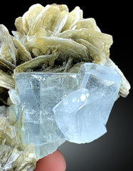 Sky Blue Color Aquamarine on Muscovite from Pakistan - 202 gram