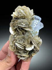 Sky Blue Color Aquamarine on Muscovite from Pakistan - 202 gram