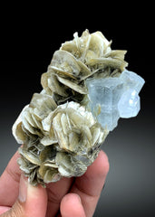 Sky Blue Color Aquamarine on Muscovite from Pakistan - 202 gram