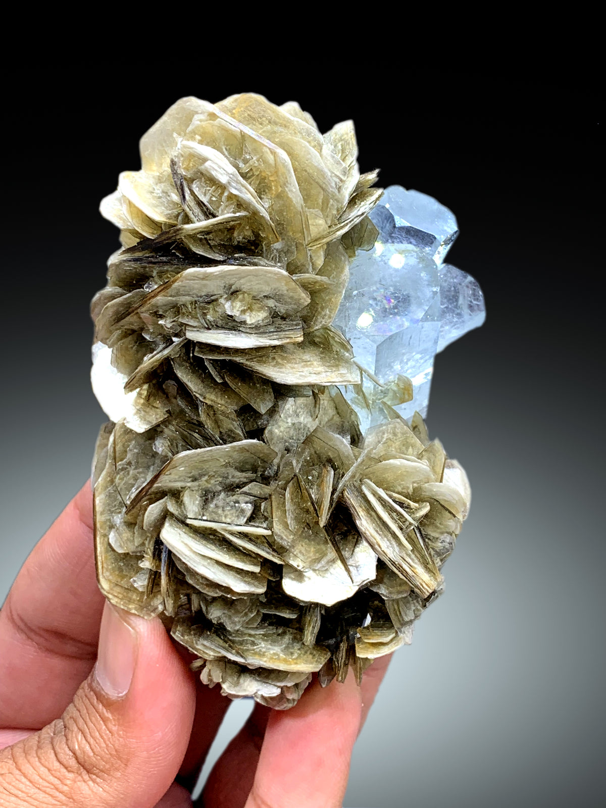 Sky Blue Color Aquamarine on Muscovite from Pakistan - 202 gram