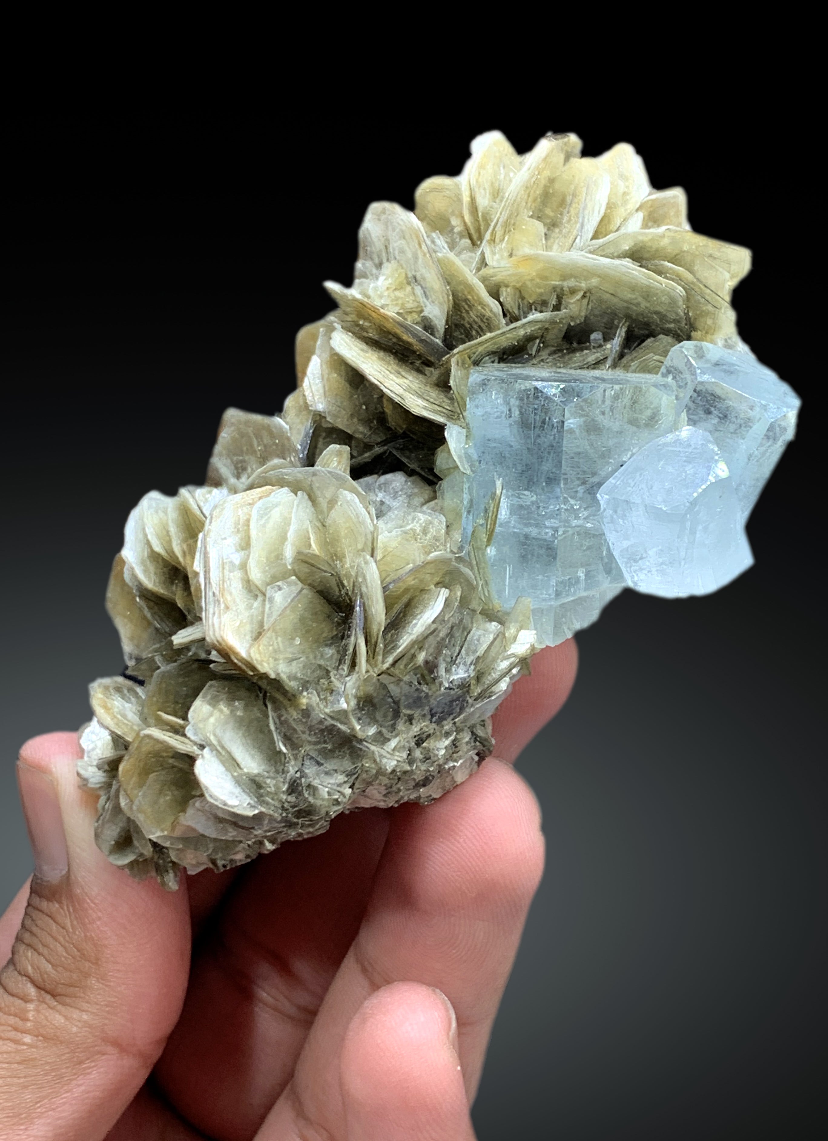 Sky Blue Color Aquamarine on Muscovite from Pakistan - 202 gram