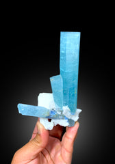 Exquisite Museum Grade Sky Blue Aquamarine Crystals with Ferberite and Feldspar, Shigar Aquamarine, Aquamarine Specimen - 306 gram