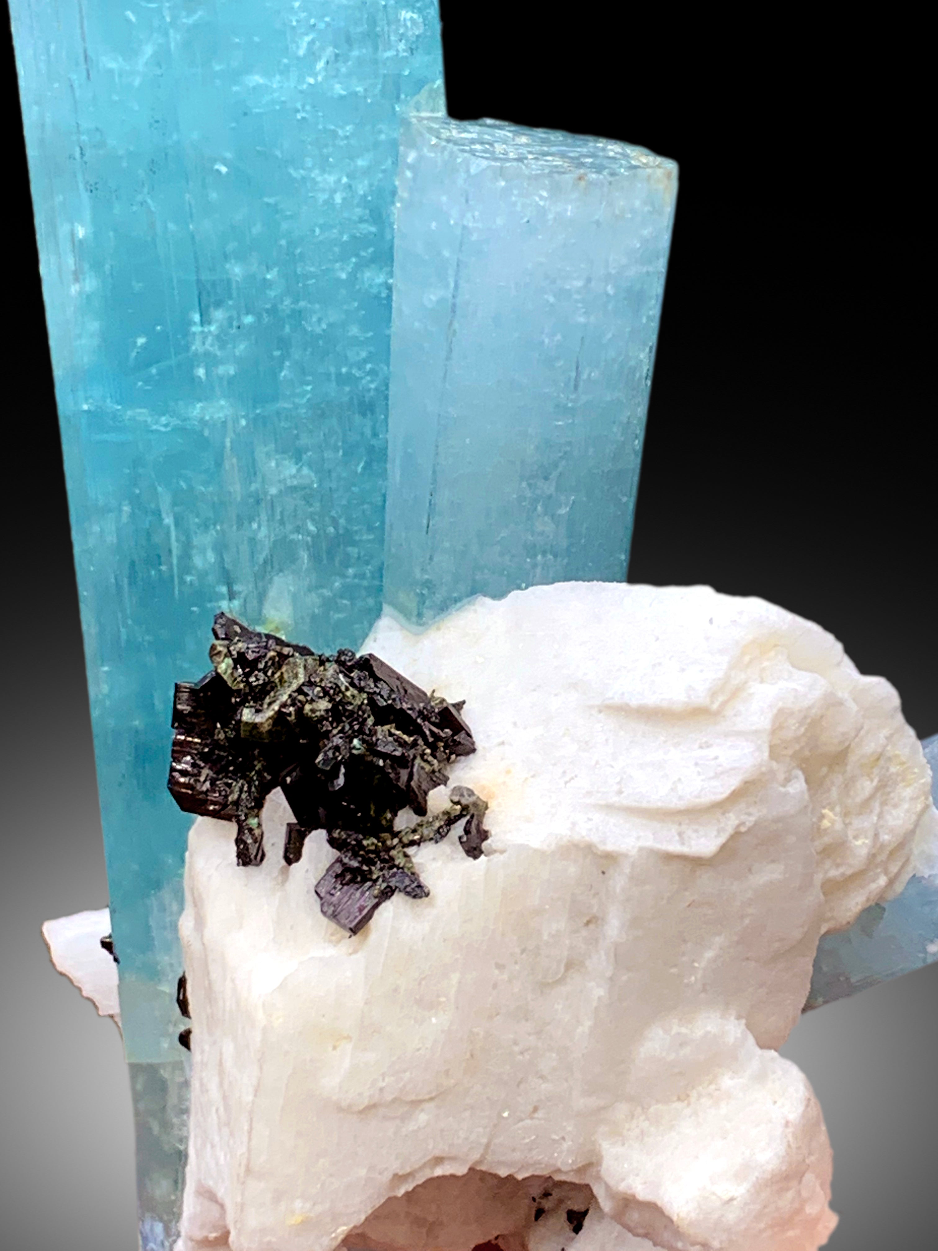 Exquisite Museum Grade Sky Blue Aquamarine Crystals with Ferberite and Feldspar, Shigar Aquamarine, Aquamarine Specimen - 306 gram