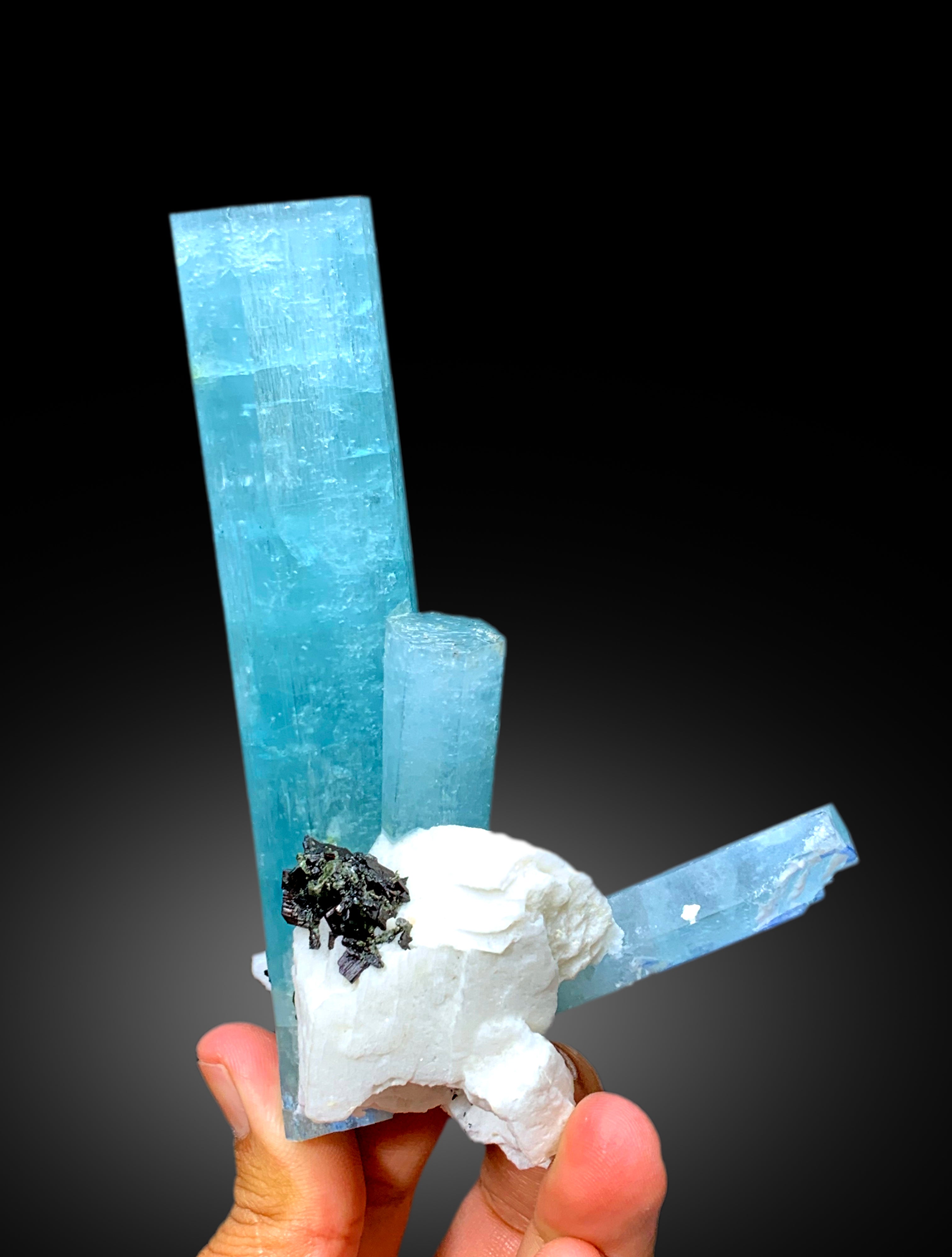 Exquisite Museum Grade Sky Blue Aquamarine Crystals with Ferberite and Feldspar, Shigar Aquamarine, Aquamarine Specimen - 306 gram