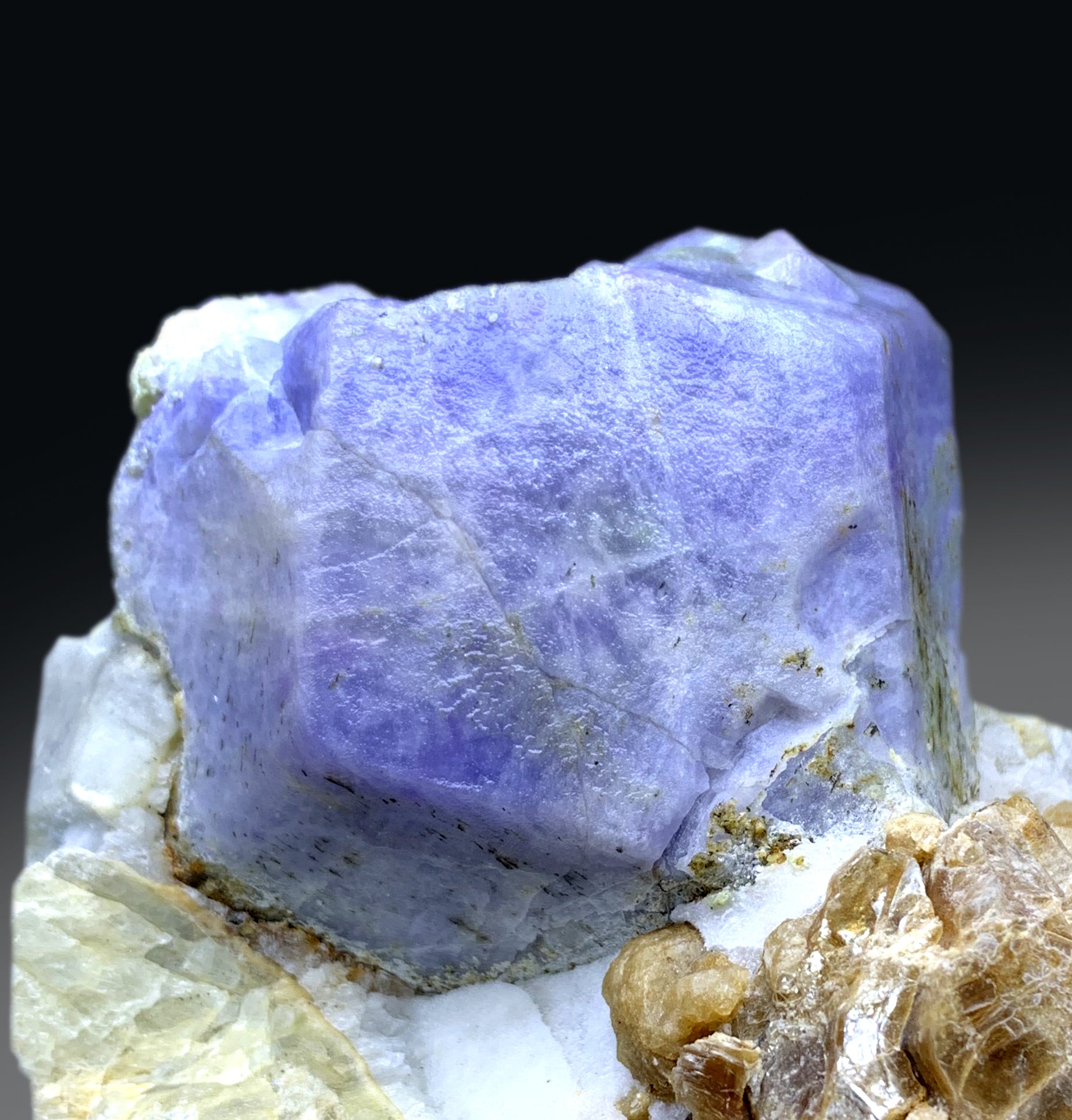 Fluorescent Rare Purple Hackmanite on Phlogopite Mica from Afghanistan - 1400 grams