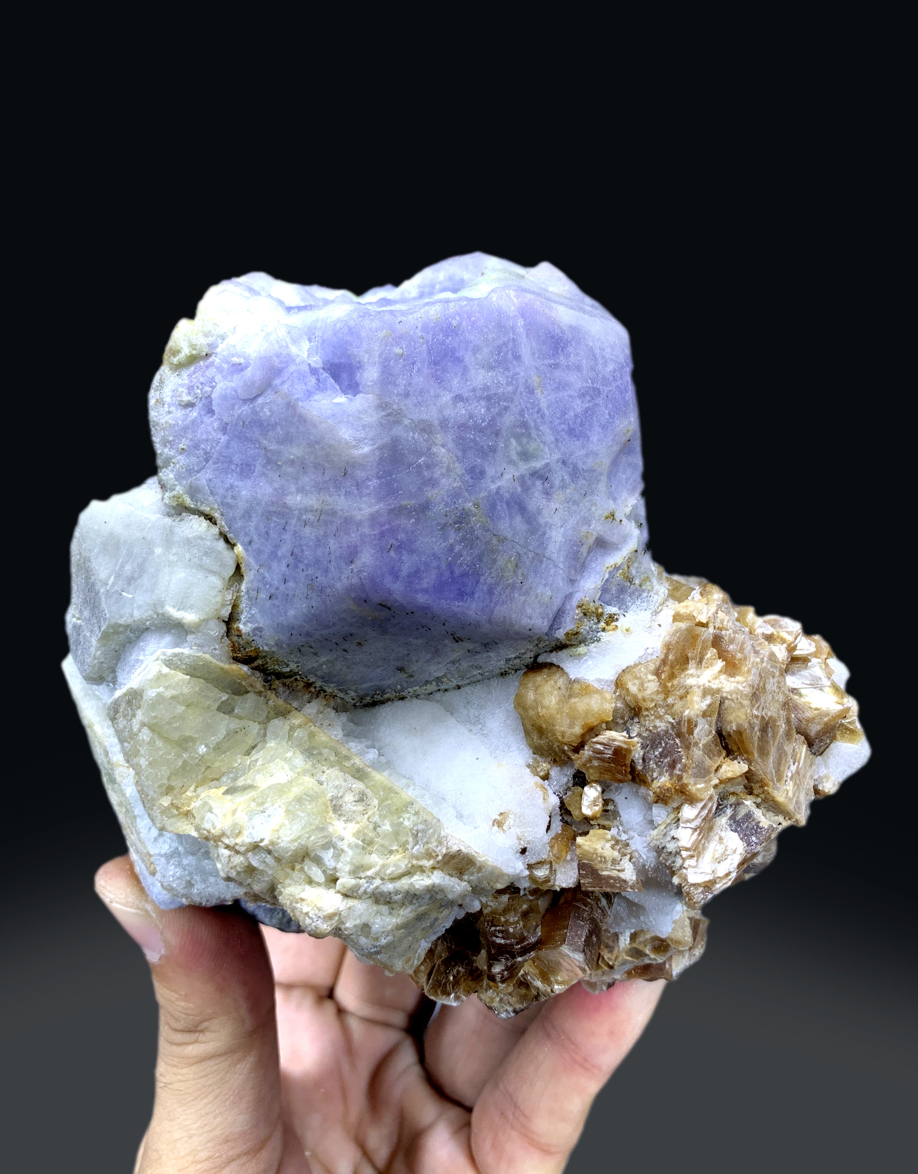 Fluorescent Rare Purple Hackmanite on Phlogopite Mica from Afghanistan - 1400 grams