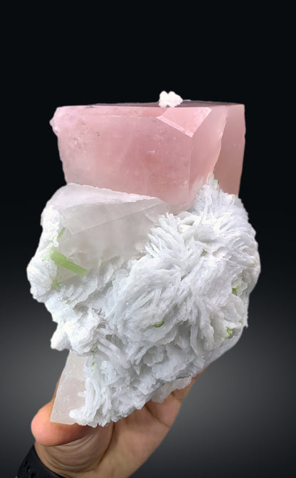 Pink Morganite with Green Tourmalines, Cleavelandite Albite and Quartz from Afghanistan - 1213 gram