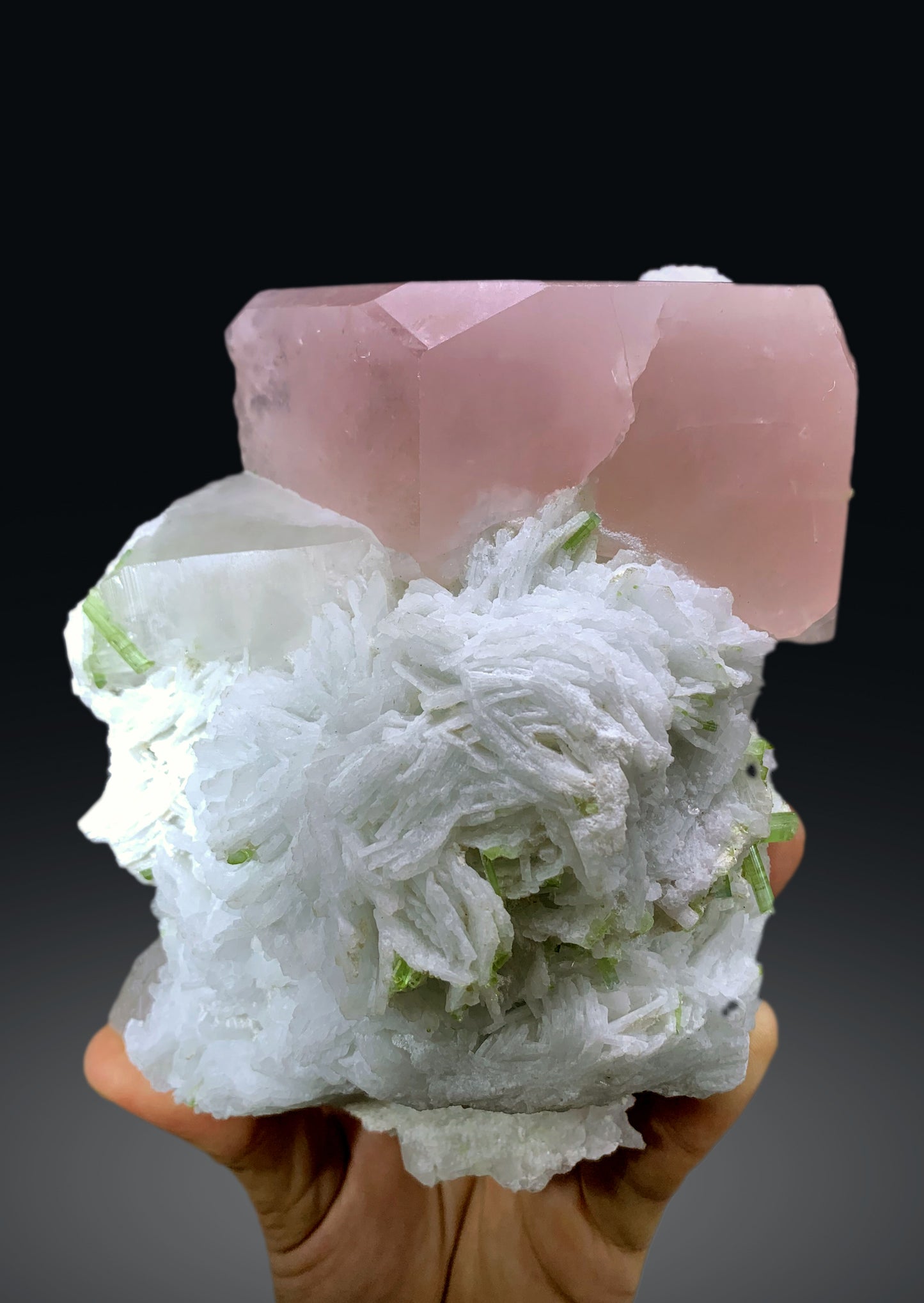Pink Morganite with Green Tourmalines, Cleavelandite Albite and Quartz from Afghanistan - 1213 gram