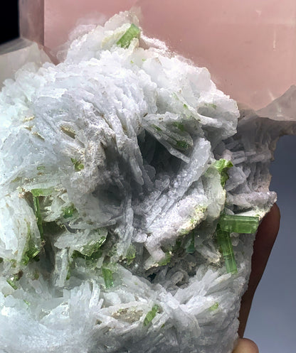 Pink Morganite with Green Tourmalines, Cleavelandite Albite and Quartz from Afghanistan - 1213 gram