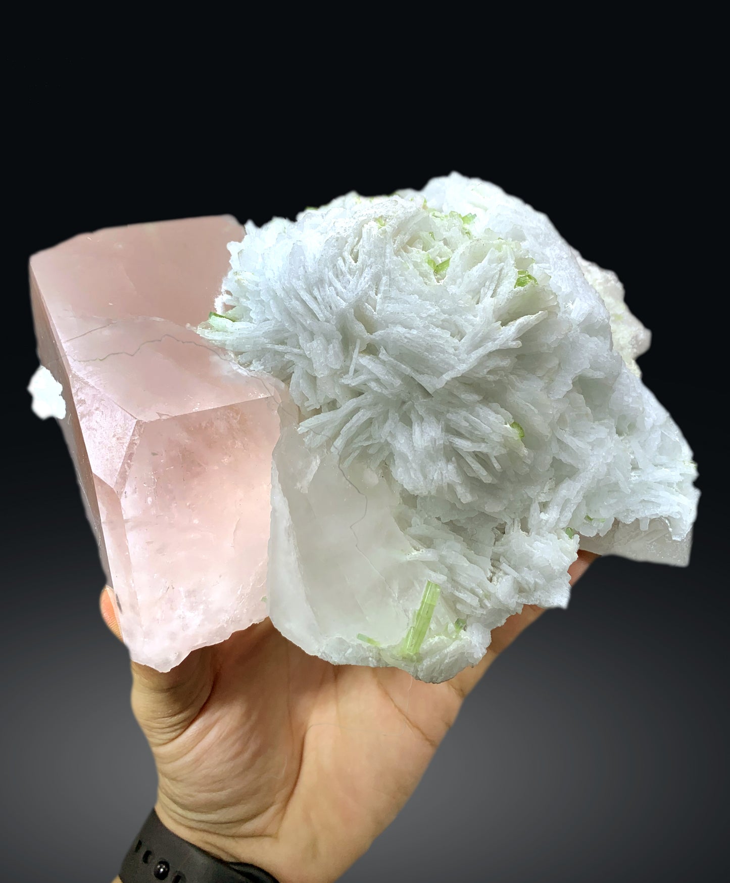 Pink Morganite with Green Tourmalines, Cleavelandite Albite and Quartz from Afghanistan - 1213 gram