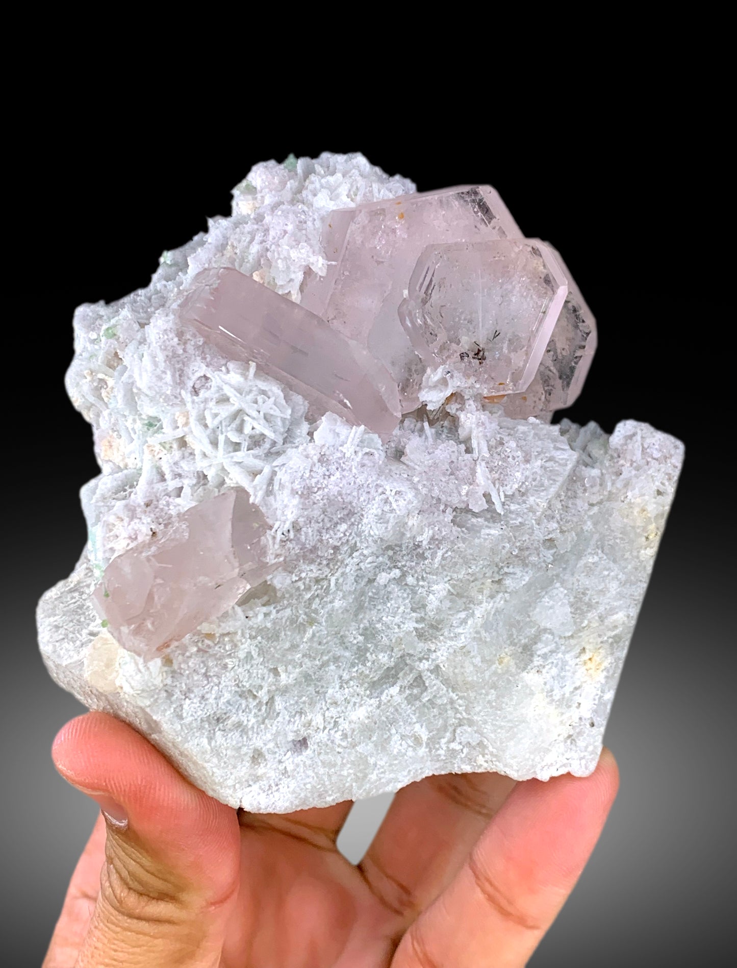 Natural Pink Color Morganite Crystals with Green Tourmalines and Cleavelandite Albite, Morganite Specimen from Afghanistan - 665 gram