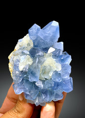 Blue Celestine Crystals with Yellow Calcite from Afghanistan, 242 gram