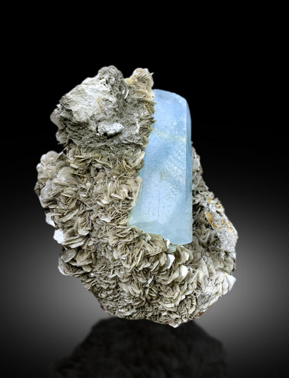 Museum Grade Blue Aquamarine with Pink Apatite and Muscovite Specimen from Nagar valley Hunza, Gilgit Pakistan - 5280 gram