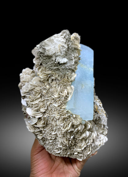 Museum Grade Blue Aquamarine with Pink Apatite and Muscovite Specimen from Nagar valley Hunza, Gilgit Pakistan - 5280 gram