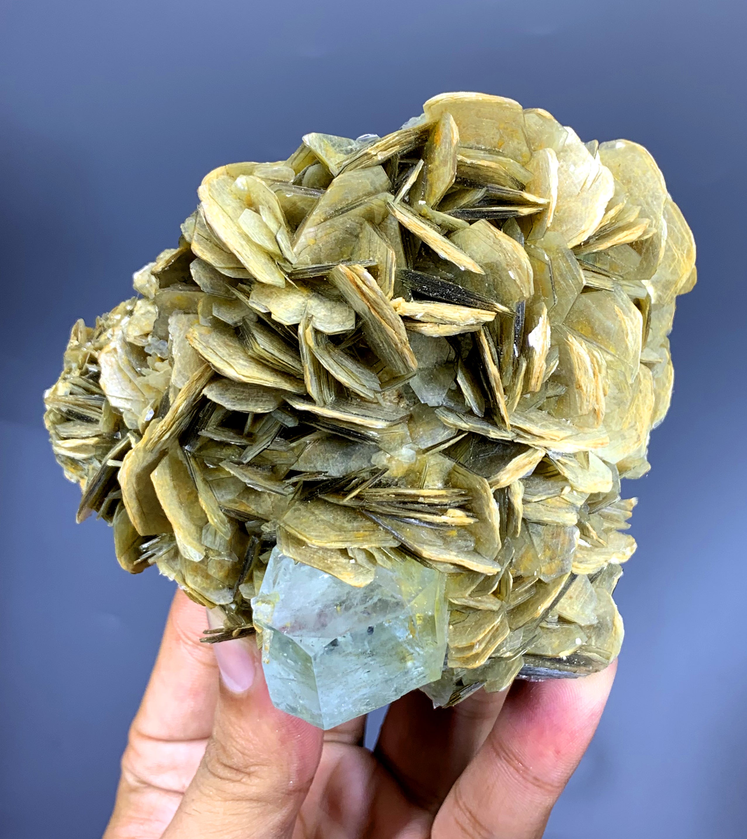 Sky Blue Aquamarine on Muscovite from Pakistan - 506 gram
