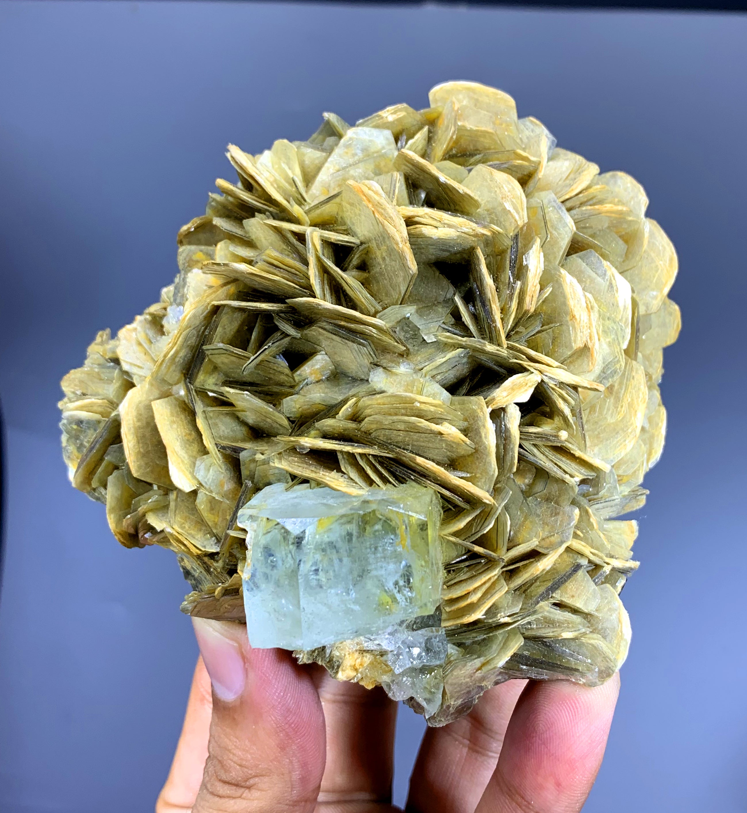 Sky Blue Aquamarine on Muscovite from Pakistan - 506 gram