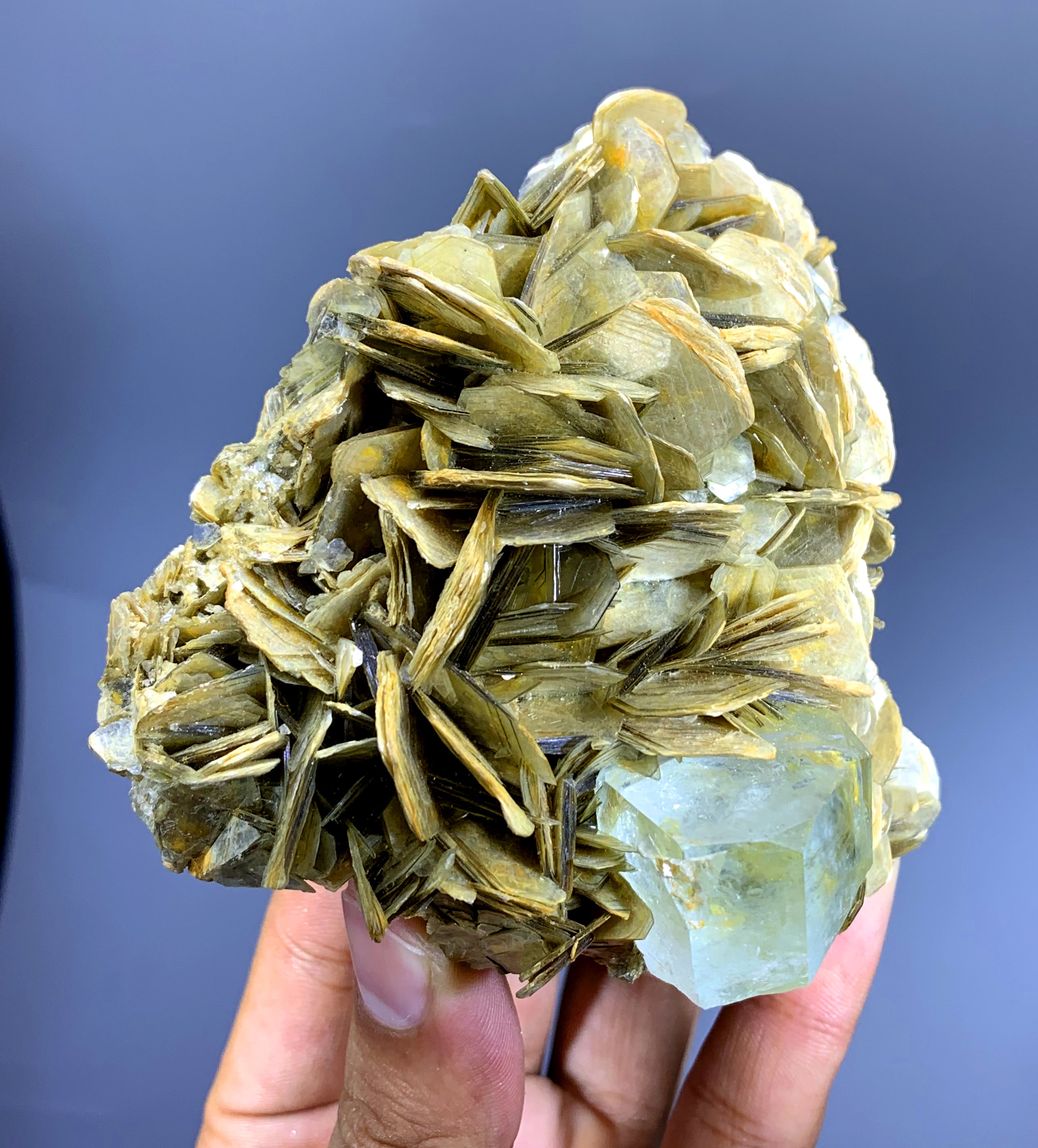 Sky Blue Aquamarine on Muscovite from Pakistan - 506 gram