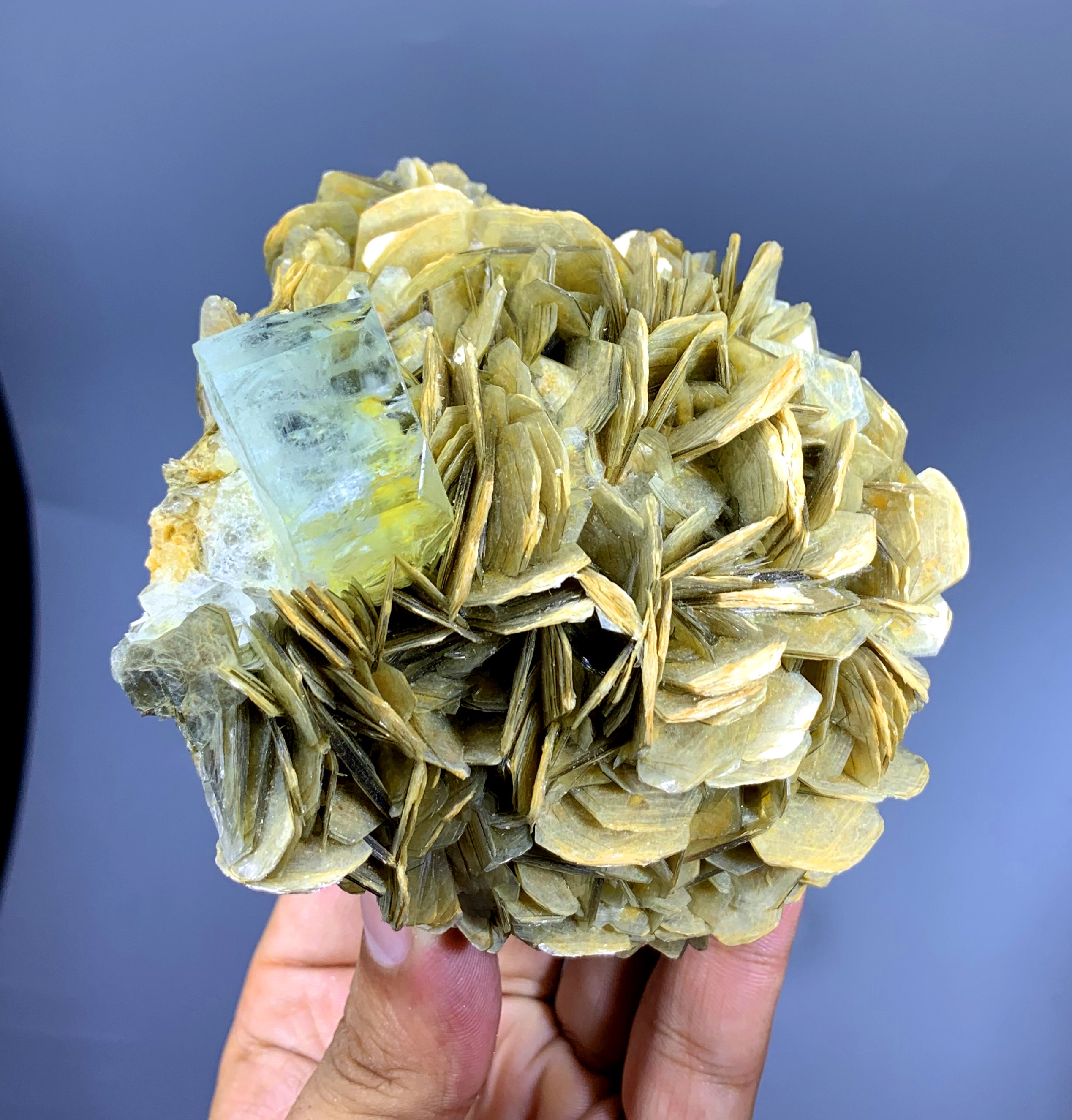 Sky Blue Aquamarine on Muscovite from Pakistan - 506 gram
