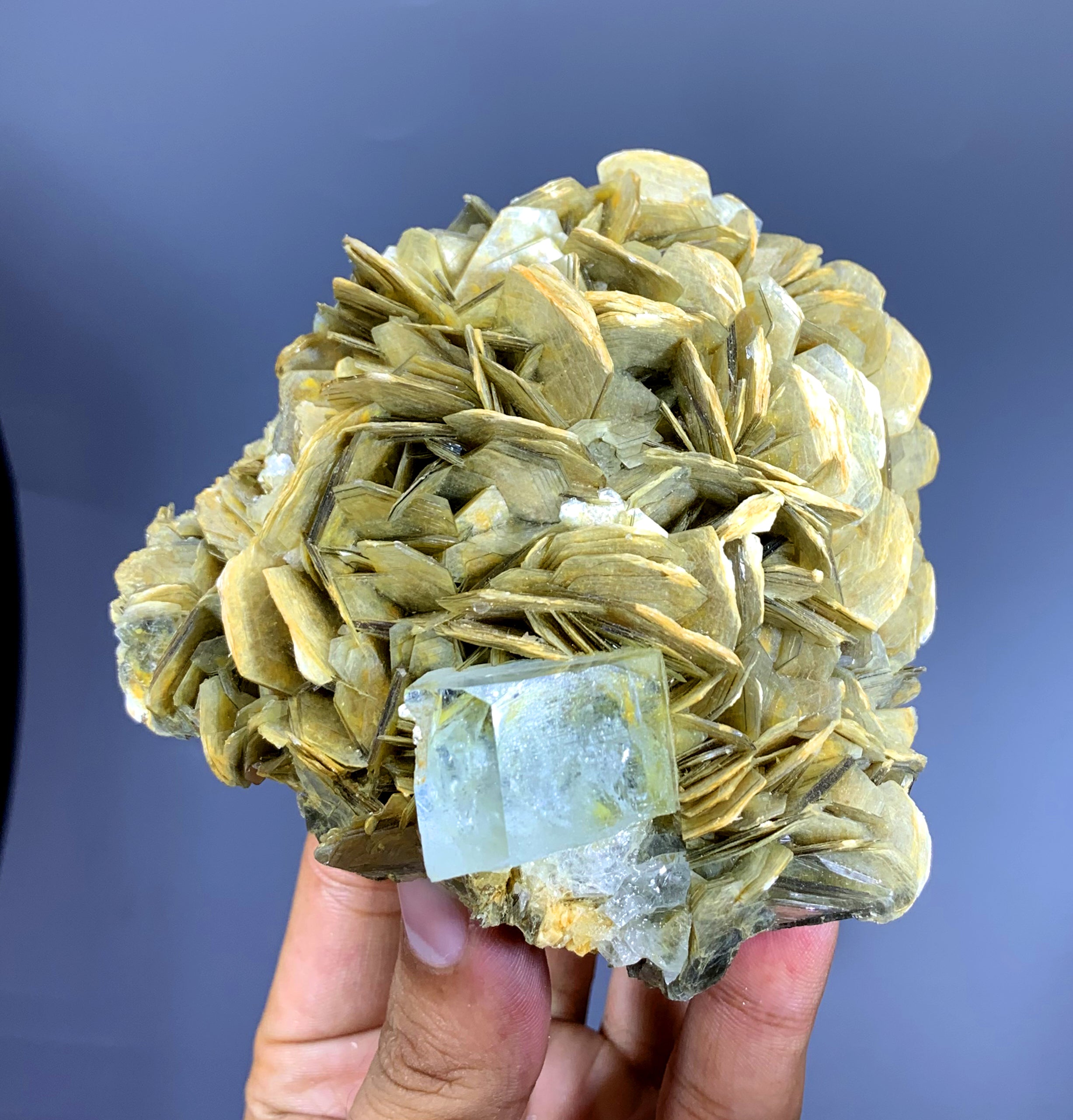 Sky Blue Aquamarine on Muscovite from Pakistan - 506 gram