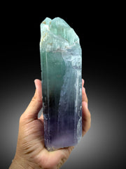 Natural Terminated Bicolor Top Grade Kunzite Crystal From Afghanistan - 1475 gram