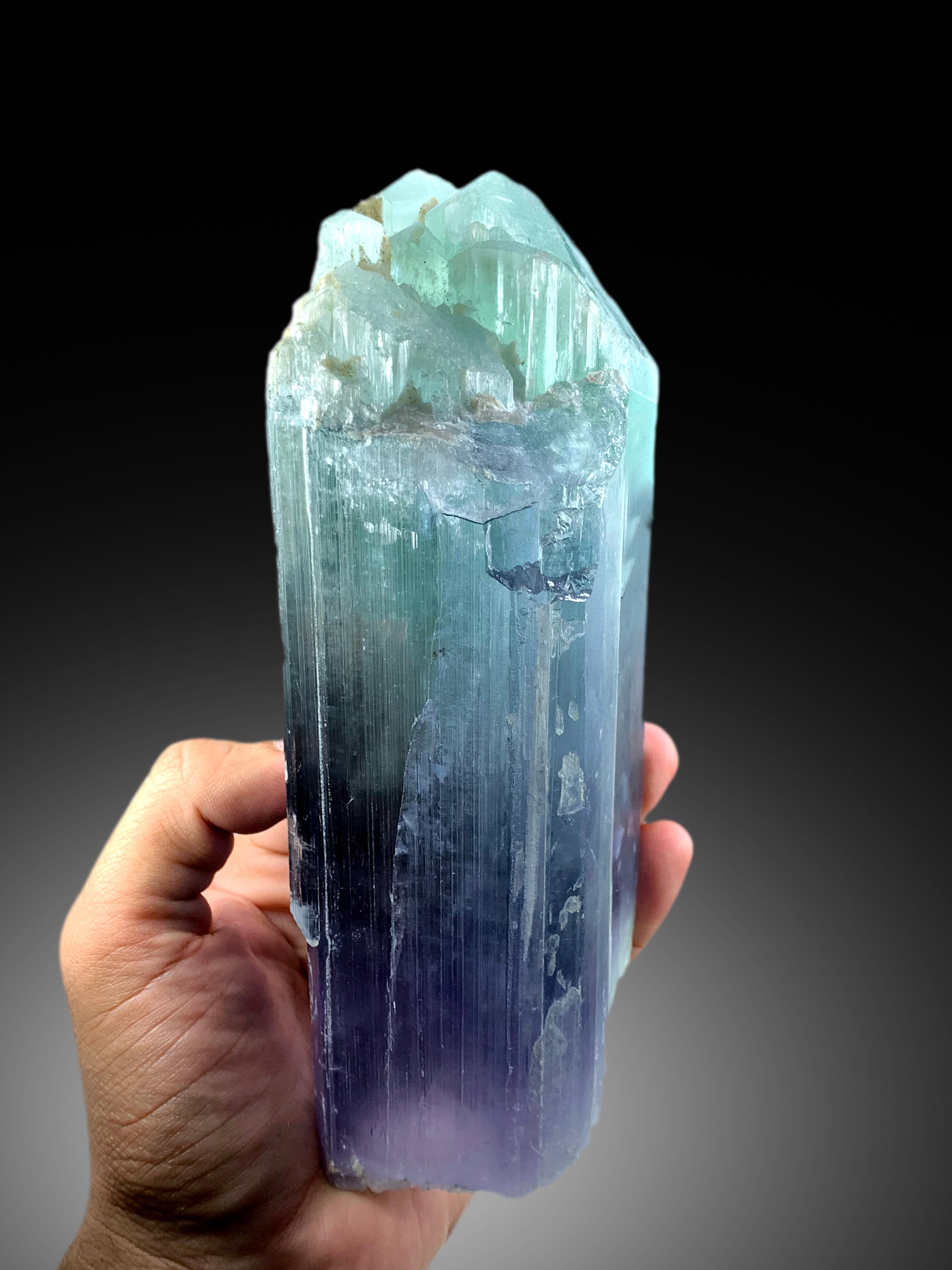 Natural Terminated Bicolor Top Grade Kunzite Crystal From Afghanistan - 1475 gram