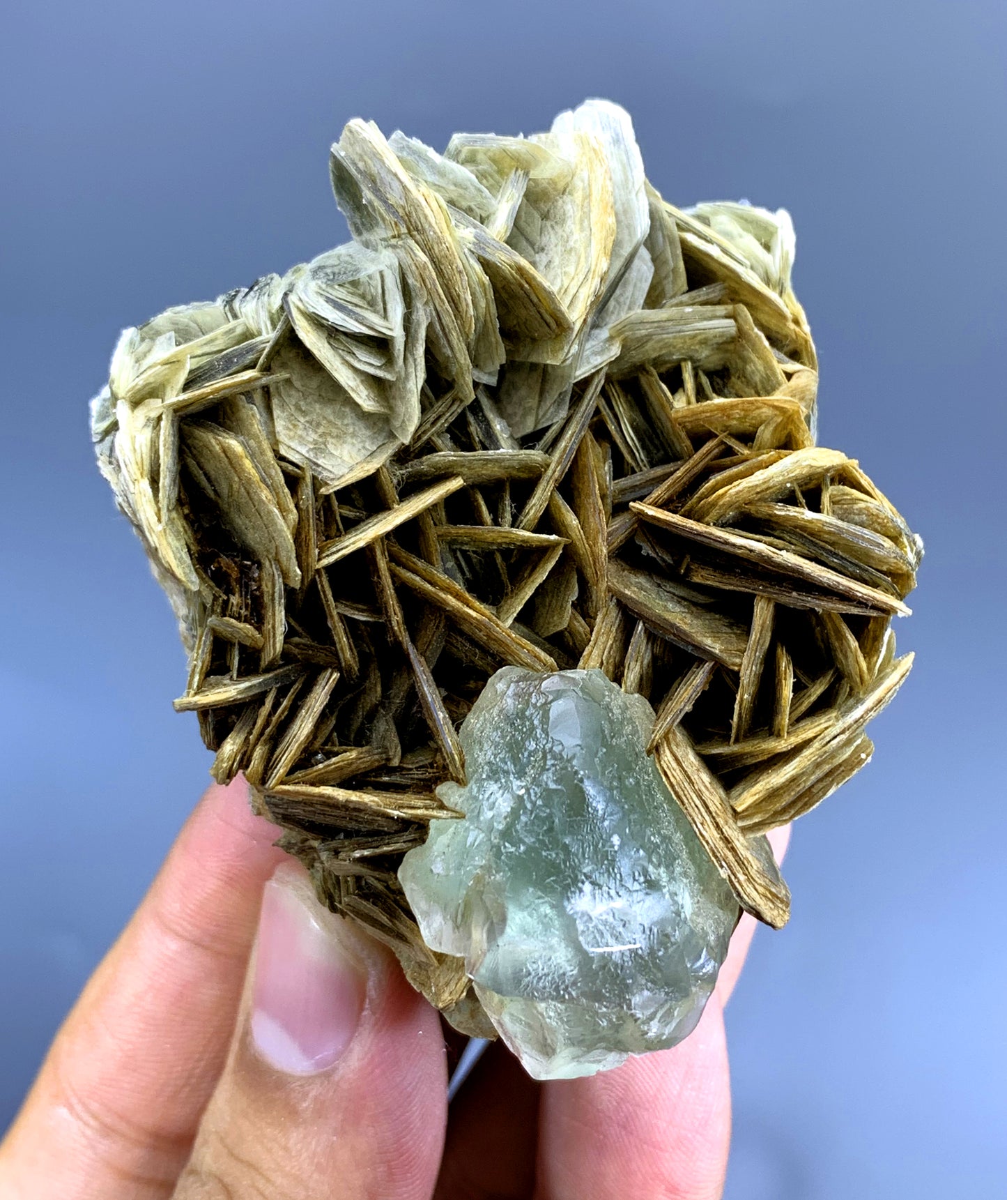 Natural Fluorite Crystal on Muscovite from Pakistan - 144 gram