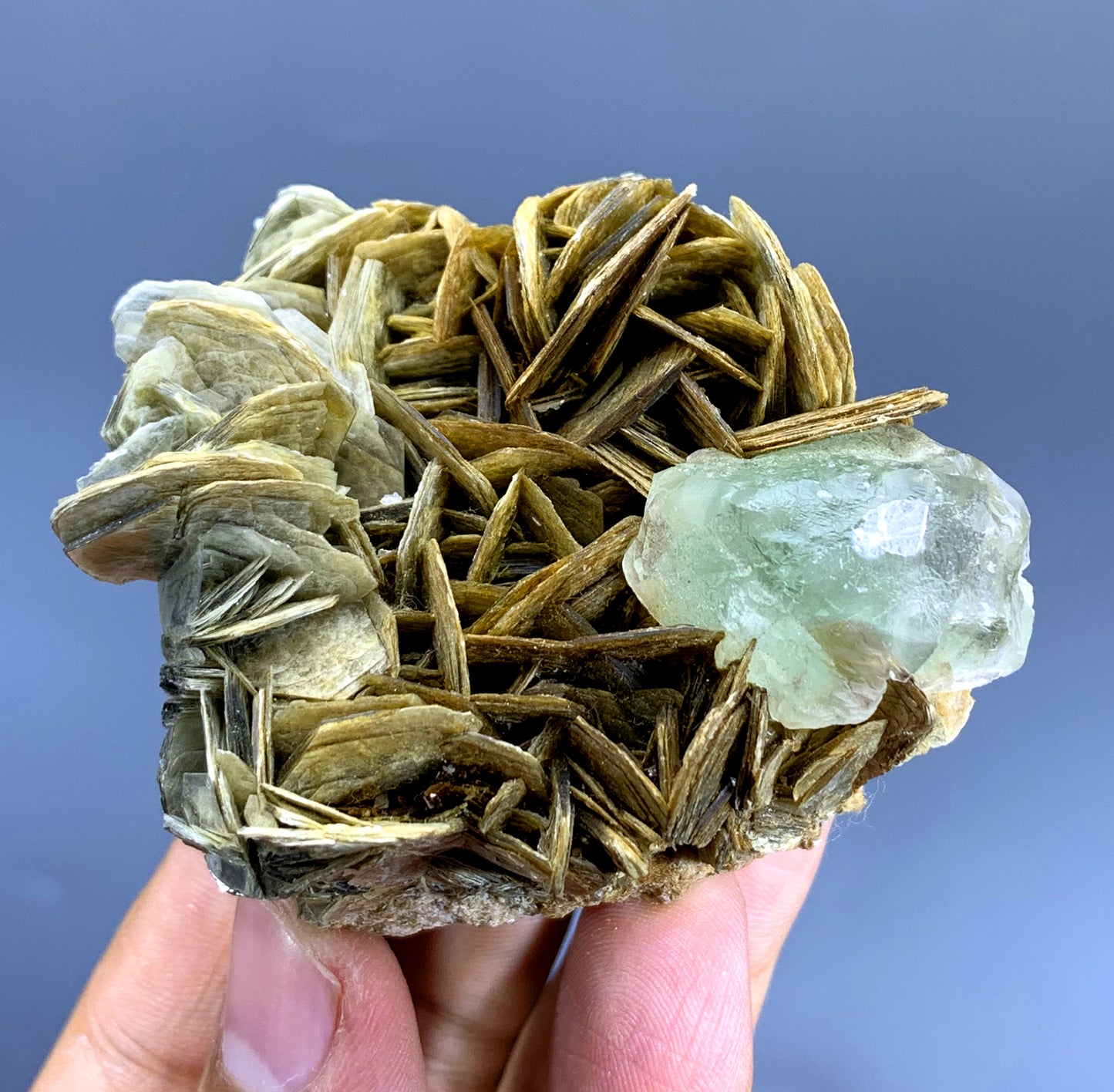 Natural Fluorite Crystal on Muscovite from Pakistan - 144 gram