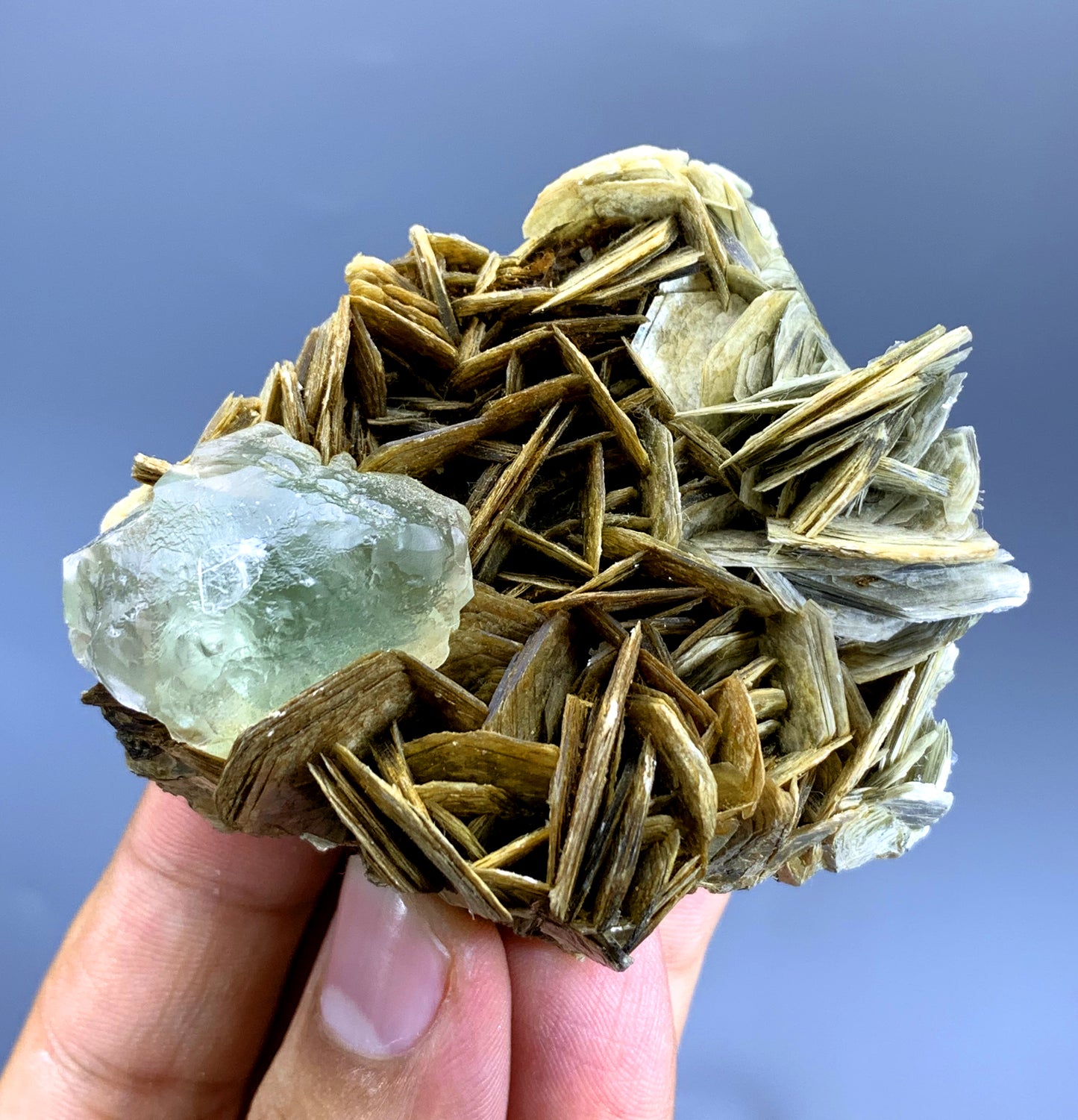 Natural Fluorite Crystal on Muscovite from Pakistan - 144 gram