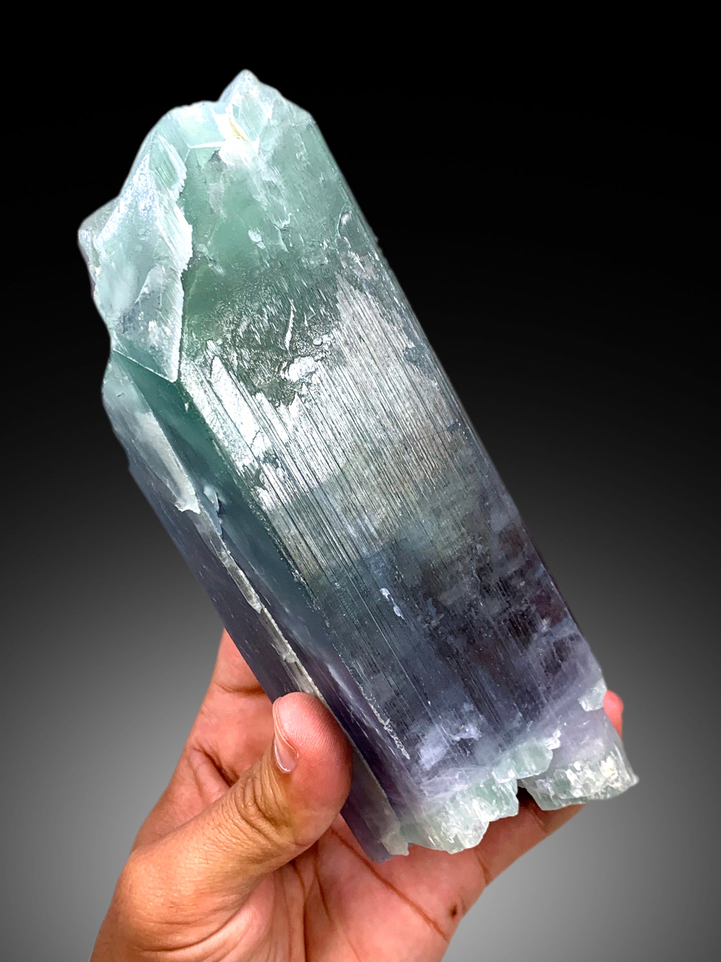 Natural Terminated Bicolor Top Grade Kunzite Crystal From Afghanistan - 1475 gram