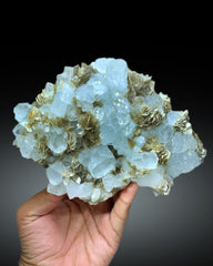 Exceptional Sky Blue Aquamarine on Muscovite from Pakistan - 1213 gram