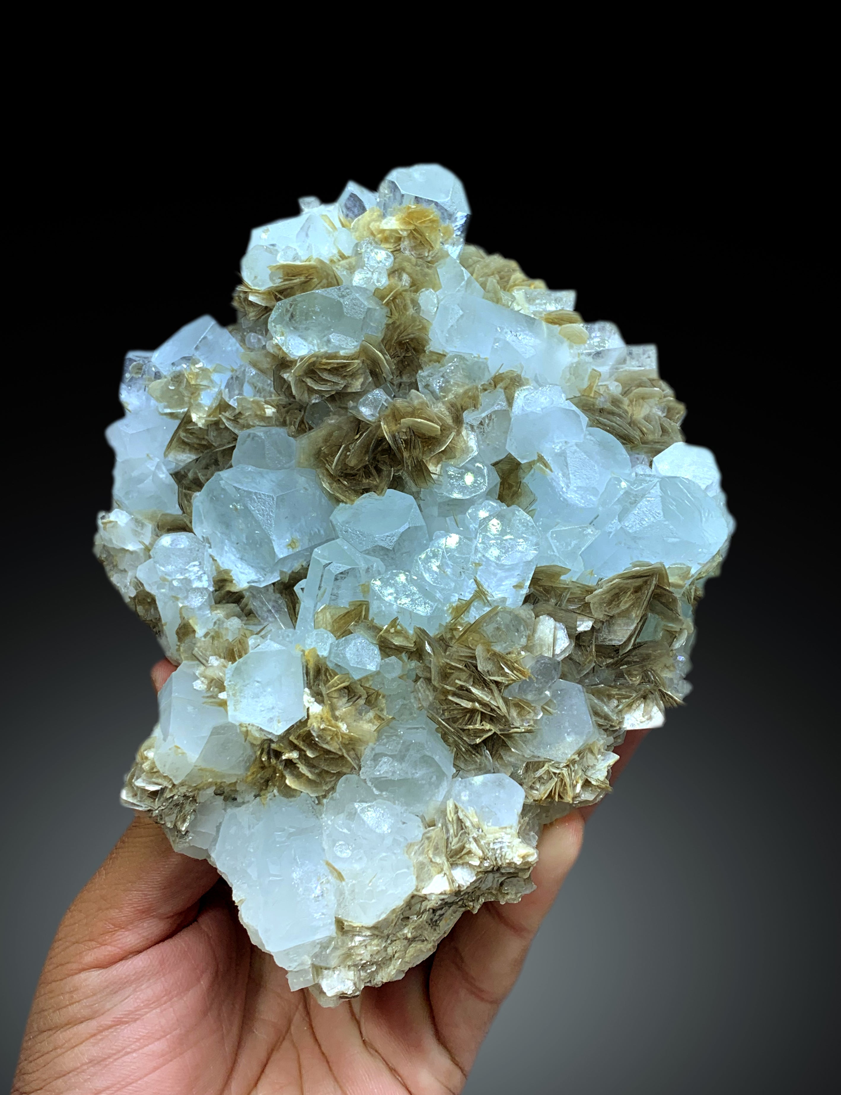 Exceptional Sky Blue Aquamarine on Muscovite from Pakistan - 1213 gram