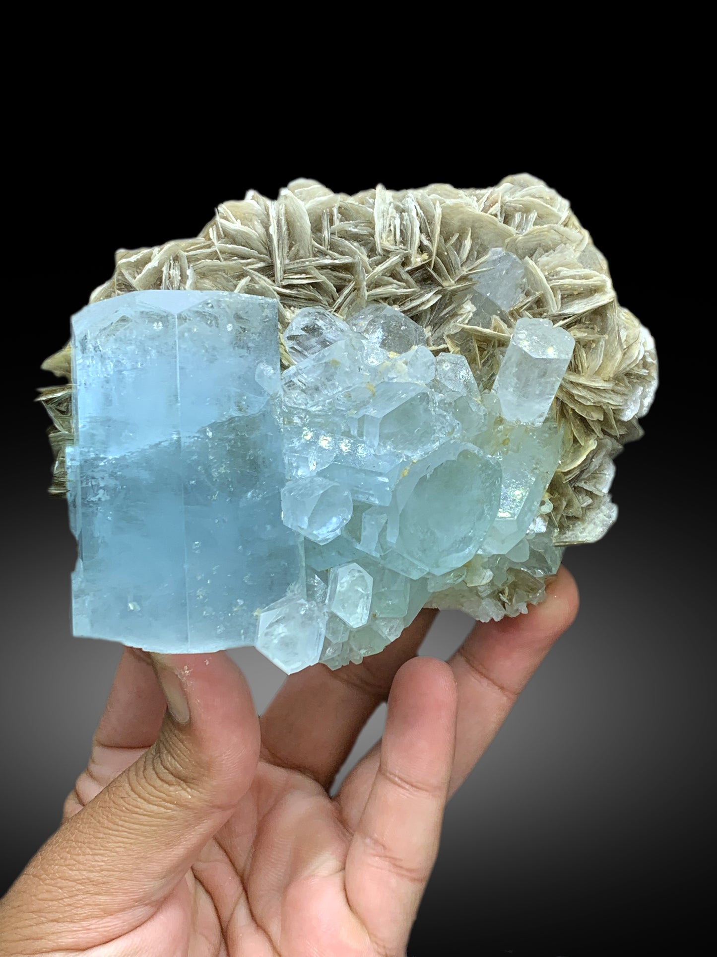 Exceptional Sky Blue Aquamarine on Muscovite from Pakistan - 617 gram