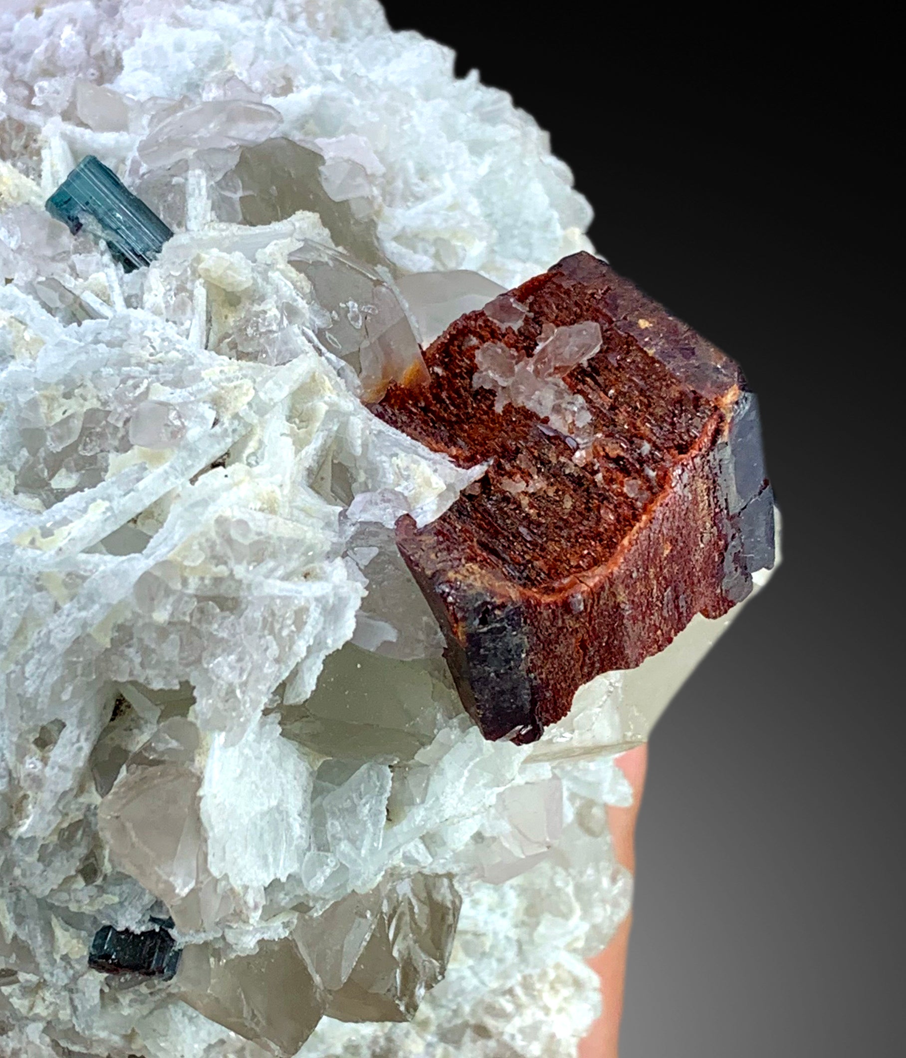 Red Tantalite with Morganite Crystals, Indicolite Tourmaline, Quartz and Albite, Rare Crystals, Rare Mineral, Rare Stone, 1293 g