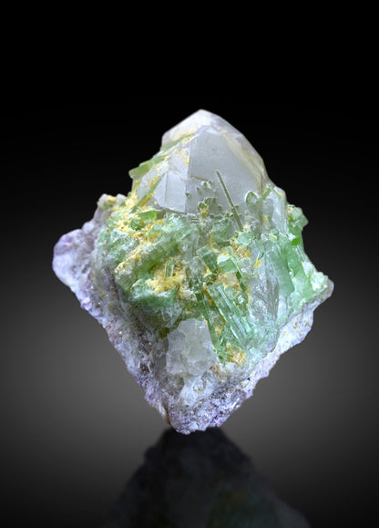 Lush Green Tourmaline Crystals on Quartz from Afghanistan - 650 gram