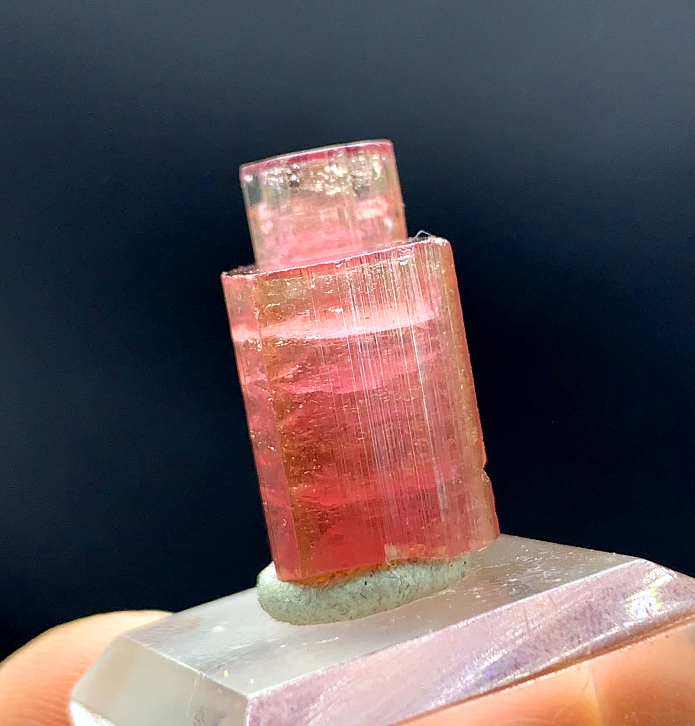 Natural Bicolor Tourmaline Crystal from Paprok Afghanistan - 26.40 carats