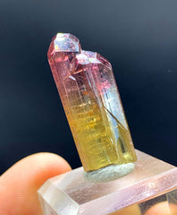 Natural Bicolor Tourmaline Crystal from Paprok Afghanistan - 26.45 carats