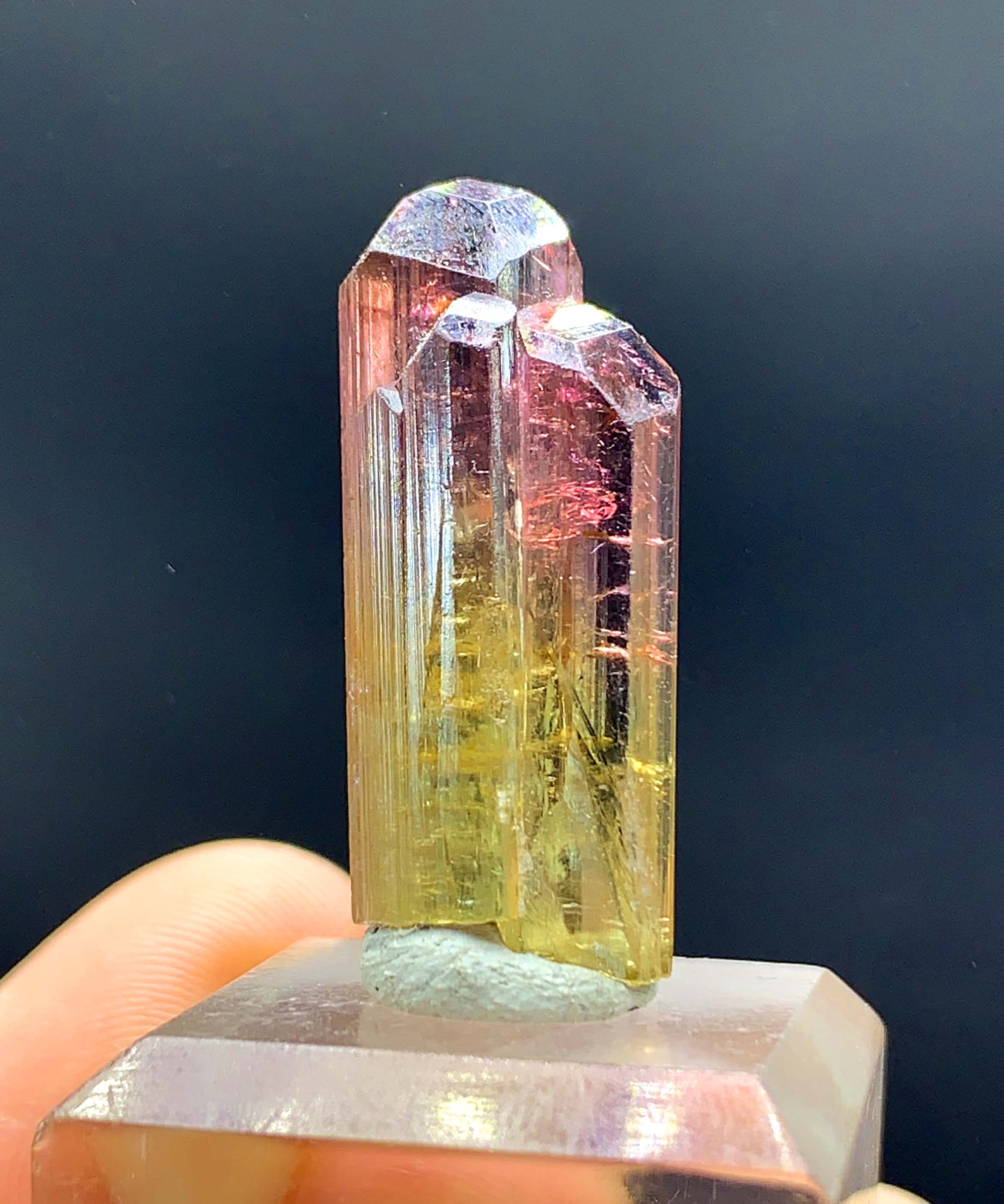 Natural Bicolor Tourmaline Crystal from Paprok Afghanistan - 26.45 carats