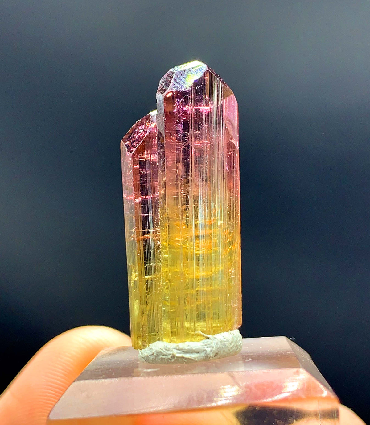 Natural Bicolor Tourmaline Crystal from Paprok Afghanistan - 26.45 carats