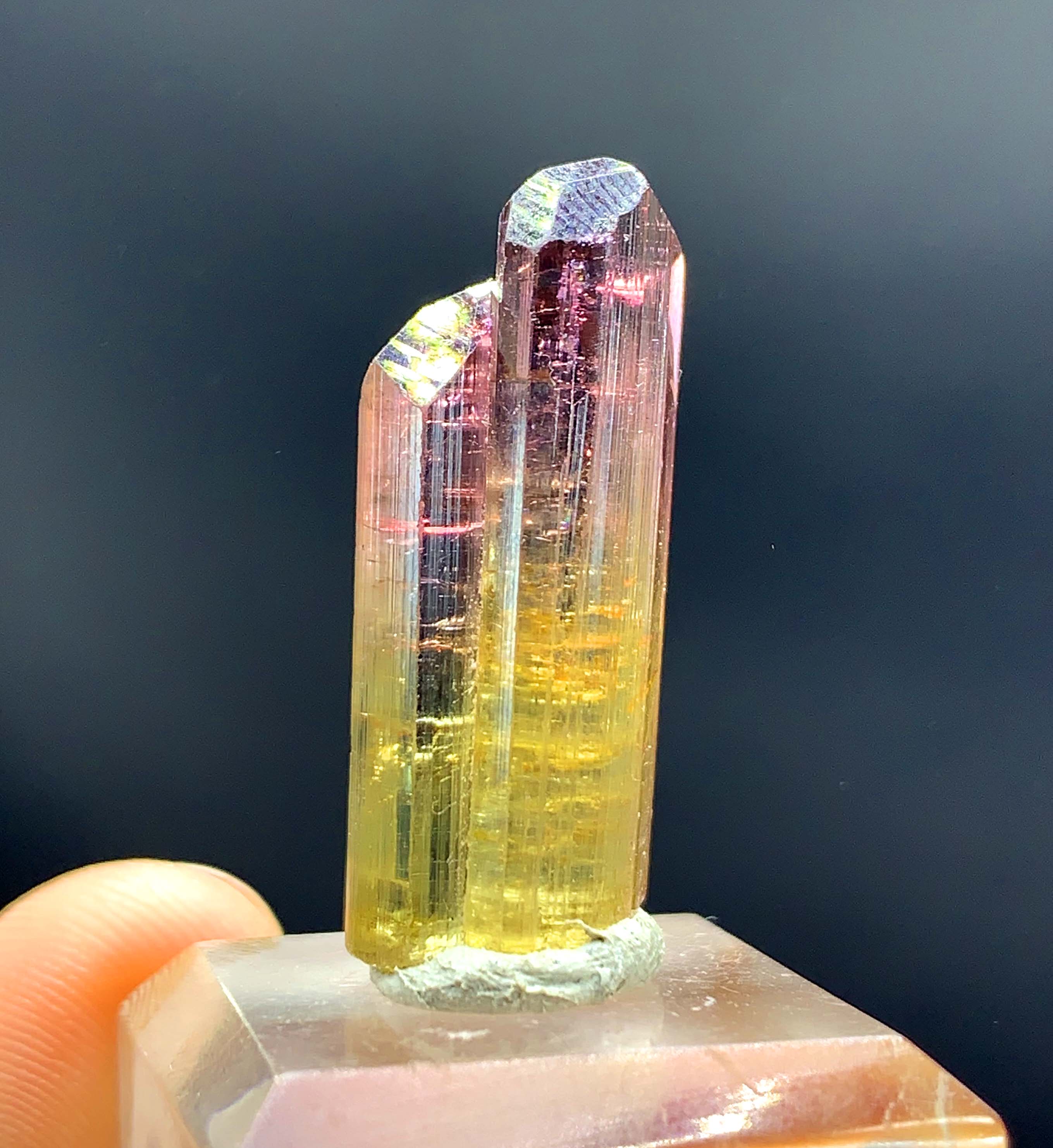 Natural Bicolor Tourmaline Crystal from Paprok Afghanistan - 26.45 carats