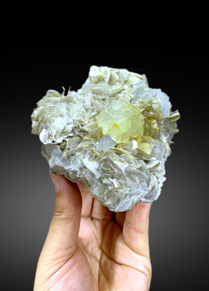 Blue Aquamarine with Fluorite on Muscovite from Pakistan - 850 gram